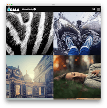 Gala gallery image