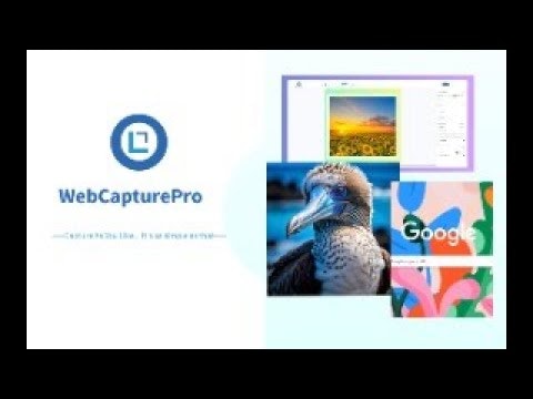 WebCapturePro gallery image
