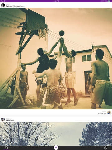 Hippo Pics gallery image