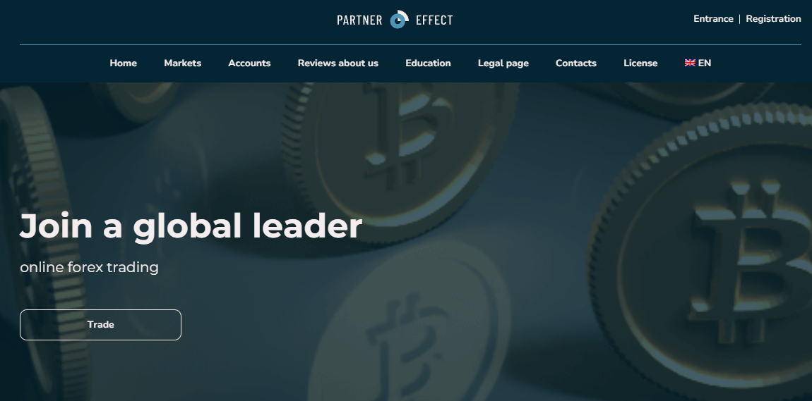 partner-effect gallery image