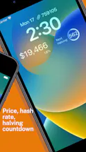 State of Bitcoin gallery image