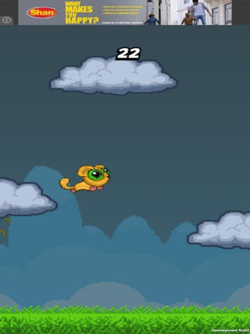 Sugar Glider XL gallery image