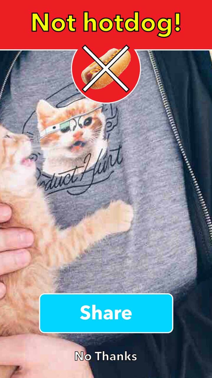 Not Hotdog gallery image