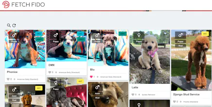 Fetch Fido gallery image