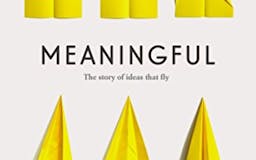 Meaningful: The Story of Ideas that Fly media 1