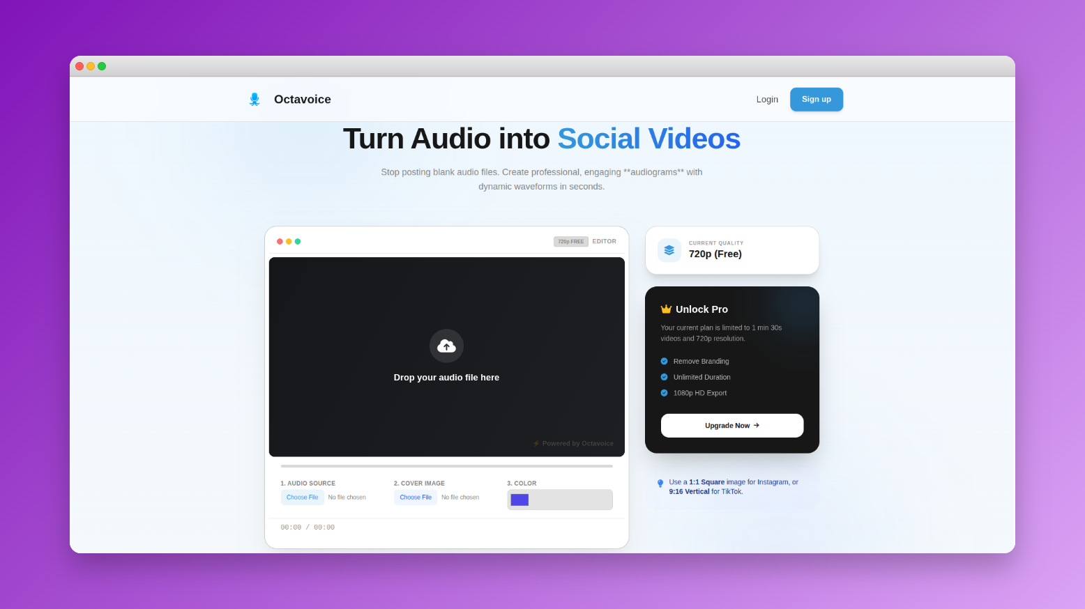 Audiogram maker - Main product screenshot demonstrating key features and user interface
