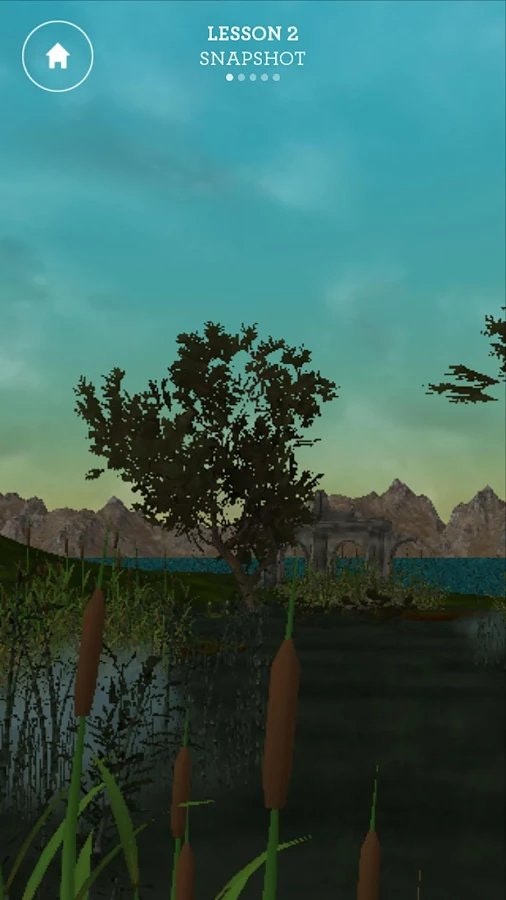 Wildflowers Mindfulness gallery image