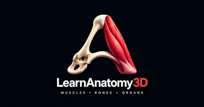 LearnAnatomy3D ā 3D Human Anatomy Atlas gallery image