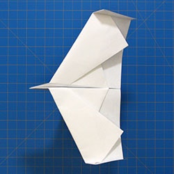 Fold N Fly gallery image