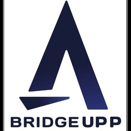 Bridgeupp Chatbot AI