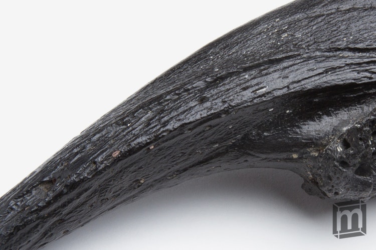 Mini Museum 3 gallery image