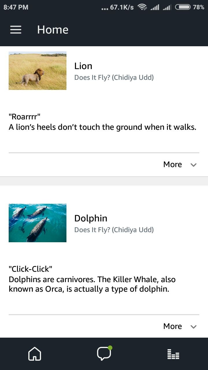 Does It Fly? (Chidiya Udd) gallery image