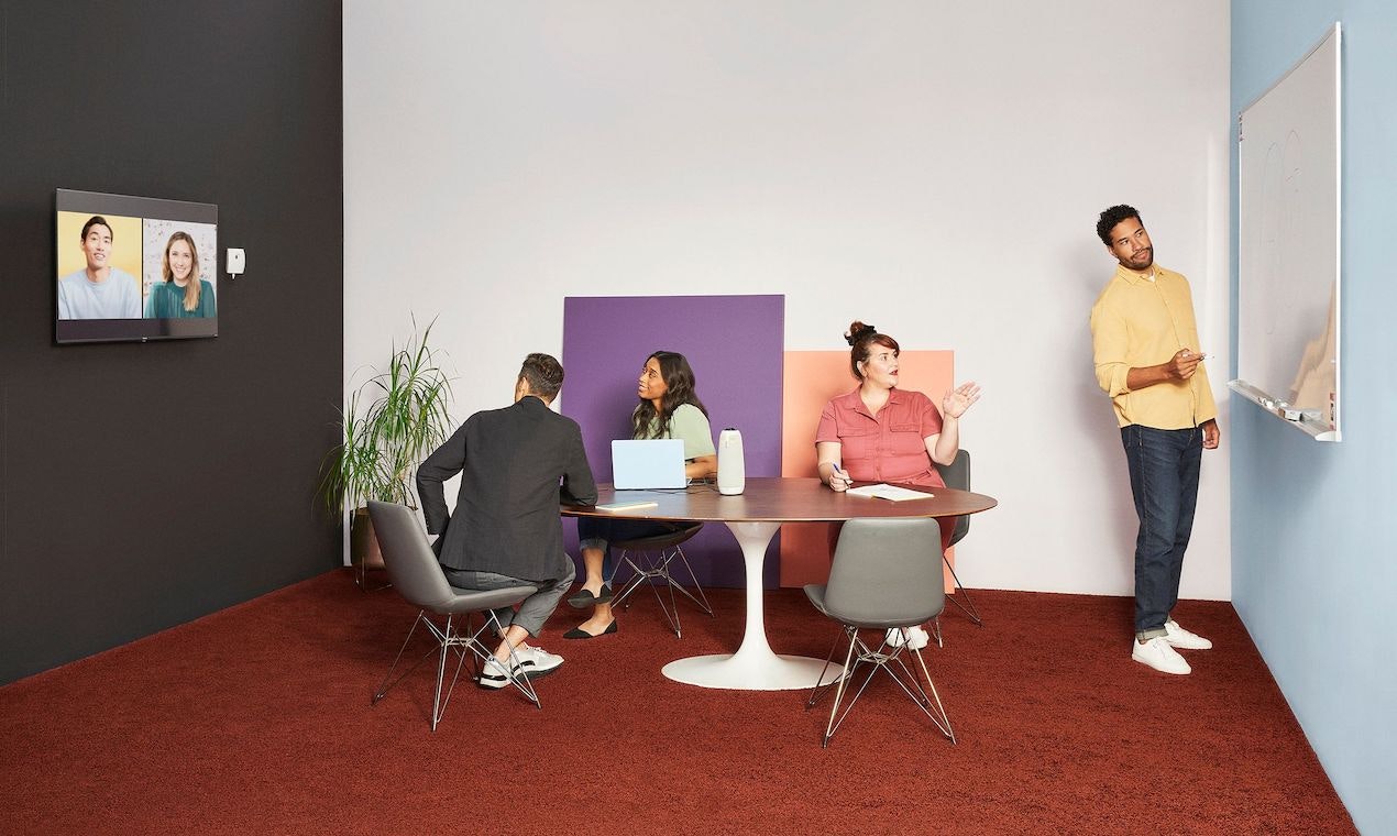 The Meeting Owl gallery image