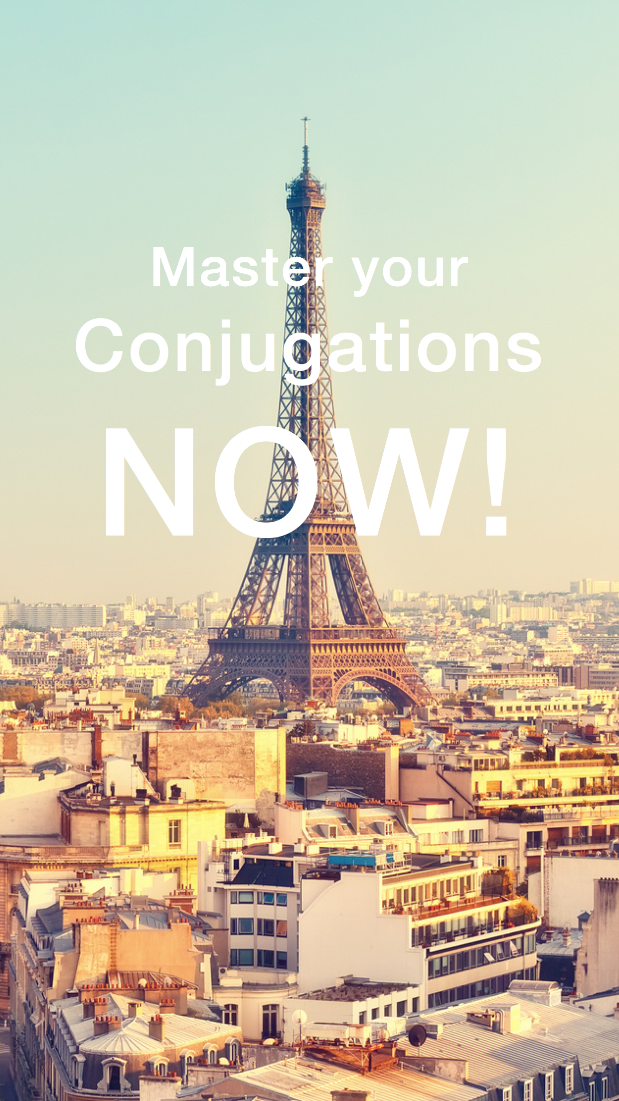 Conjugation App gallery image