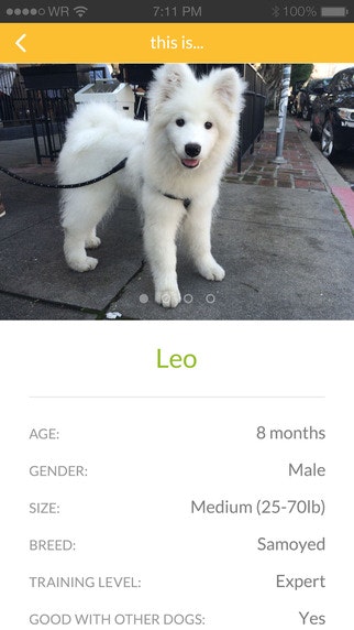 Bark'N'Borrow gallery image