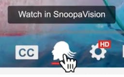 SnoopaVision media 3