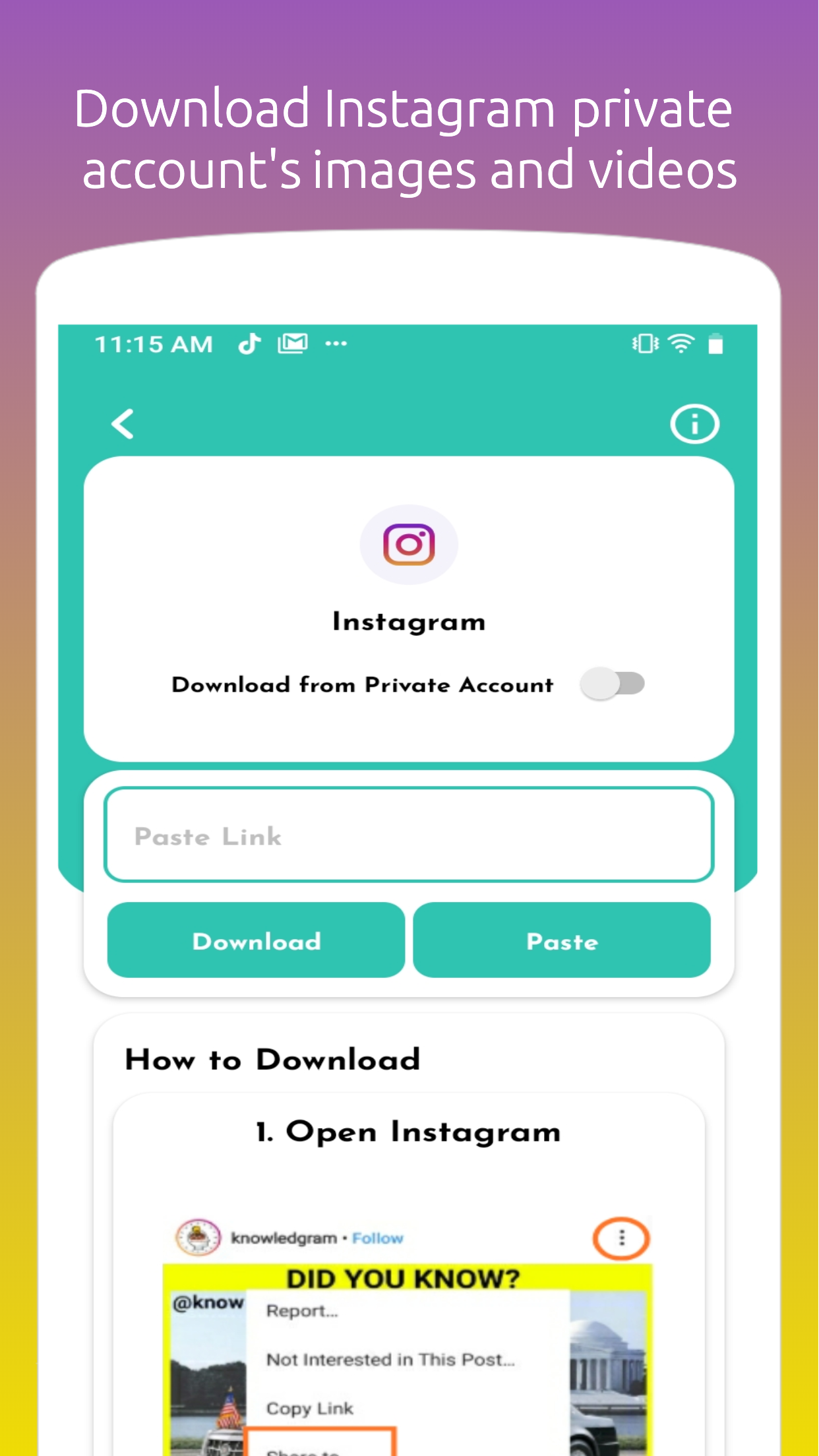 Social Puller gallery image