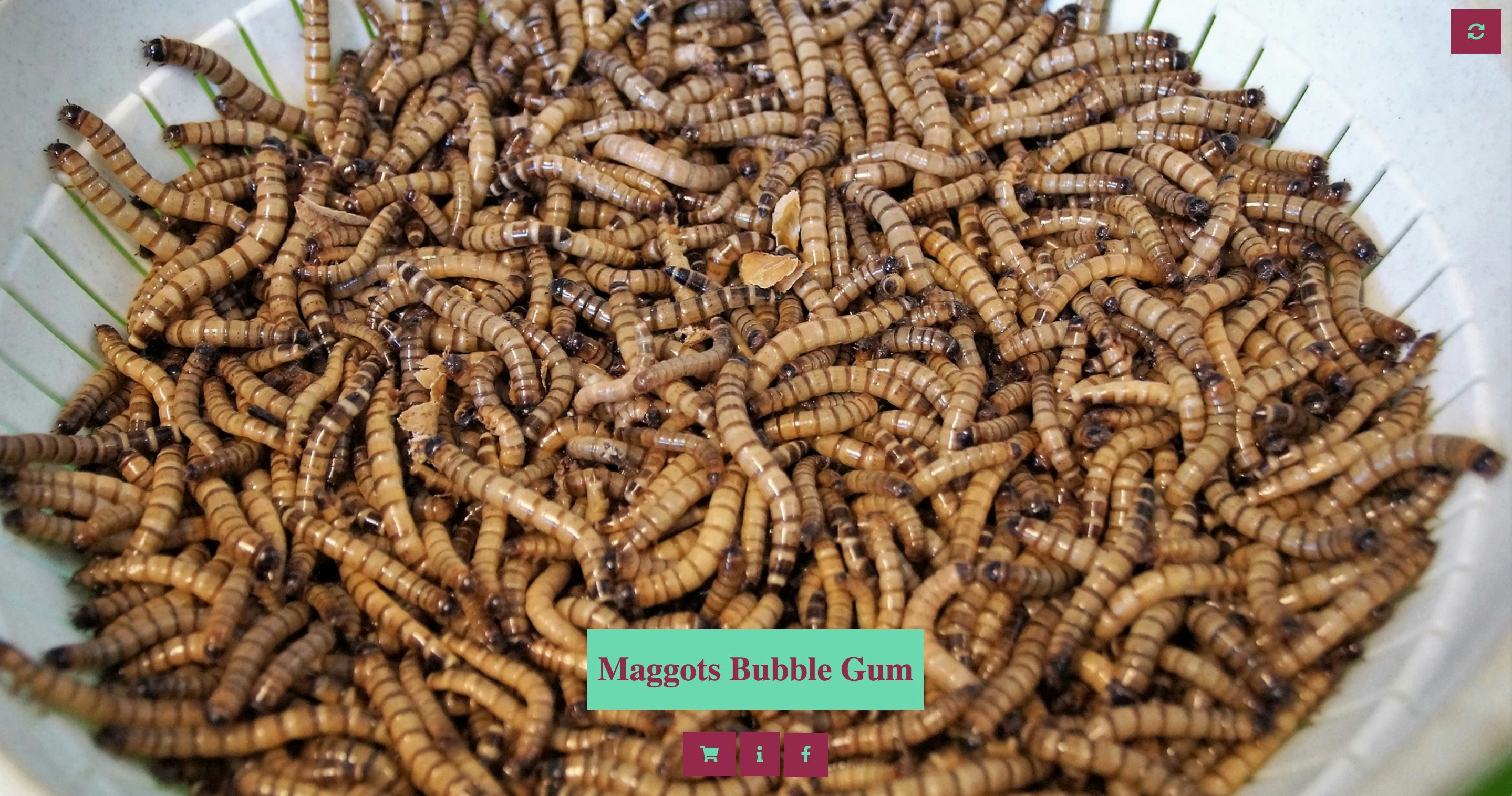 This Snack Does Not Exist gallery image