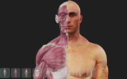 3D Anatomy Viewer 4 Artists media 1