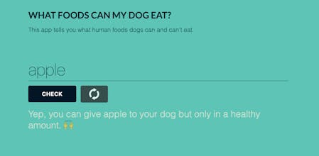Foods Dogs Can Eat gallery image