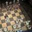 Cat Simulator 3D