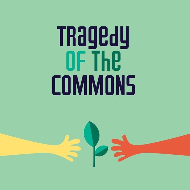 Wise Charlie gallery image