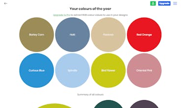 Year of Colour 2020 gallery image