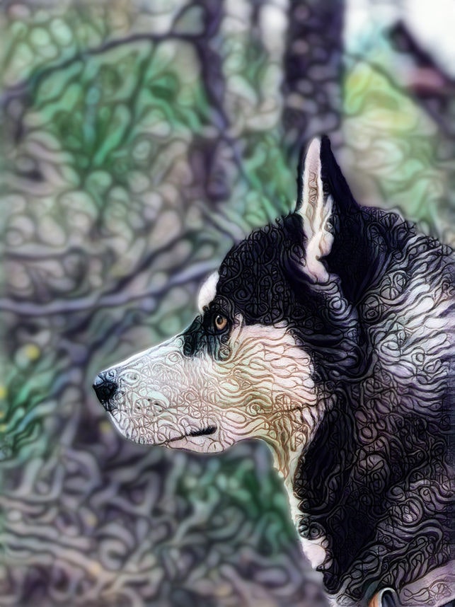 Visionist gallery image