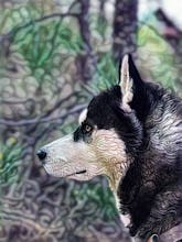 Visionist gallery image