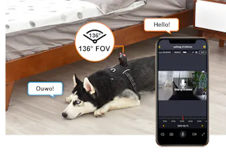 Dog wearable camera gallery image