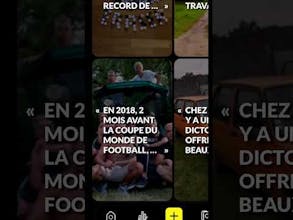 Diseed gallery image