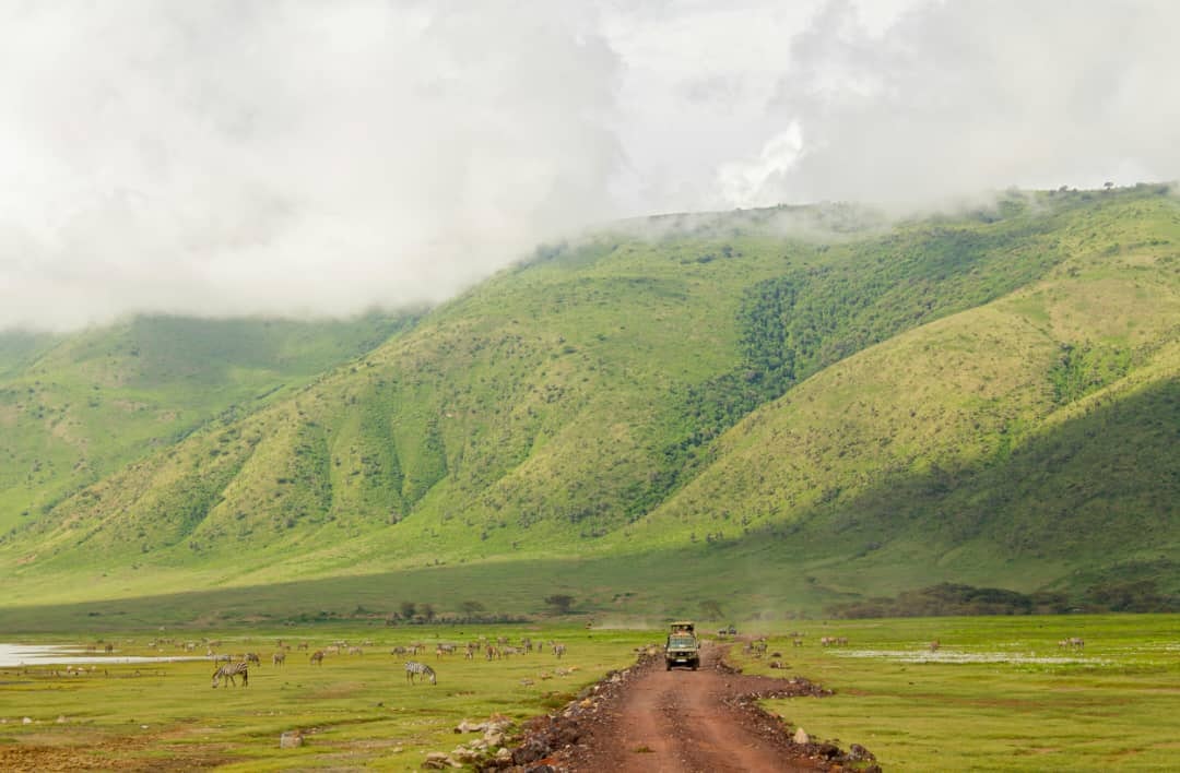 Africantrust Safari gallery image