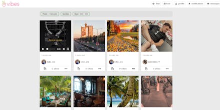 Yvibes gallery image