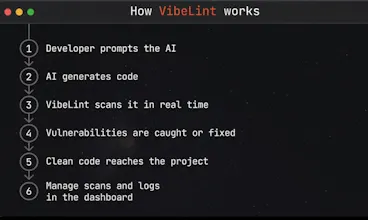 VibeLint gallery image