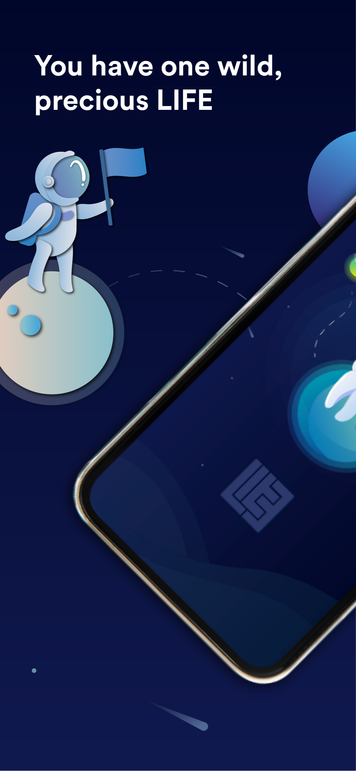 LIFE Intelligence: DIY Coach & Therapist gallery image