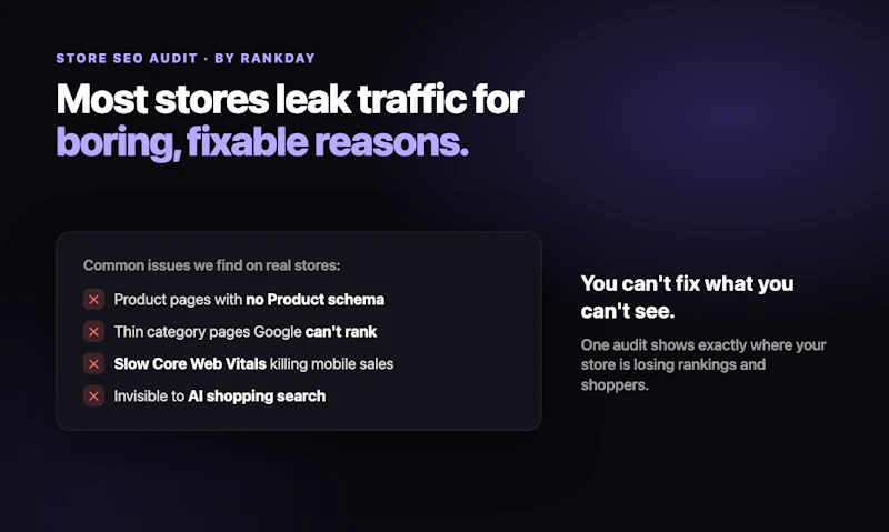 Store SEO Audit screenshot 2