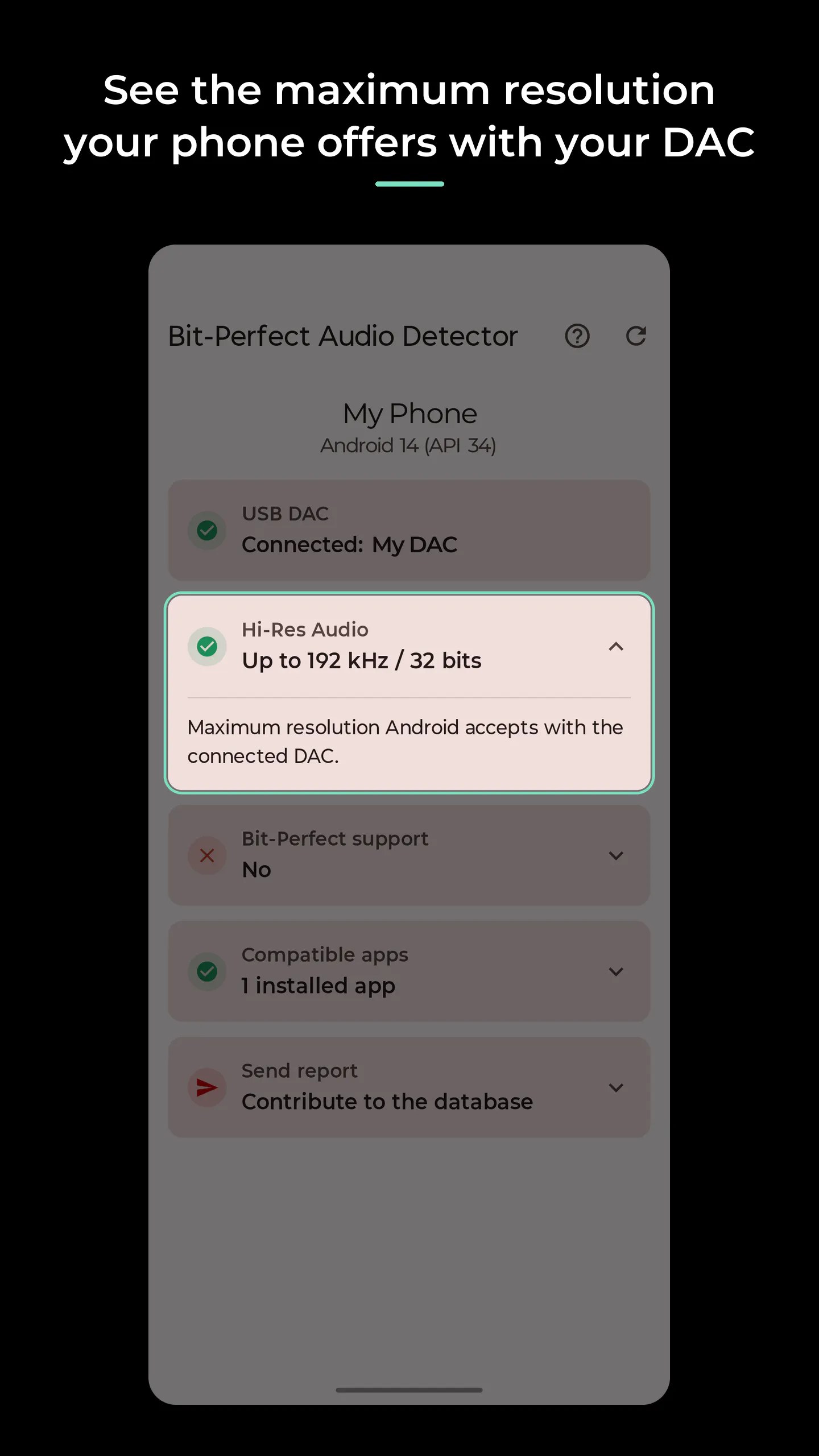 Bit-Perfect Audio Detector gallery image