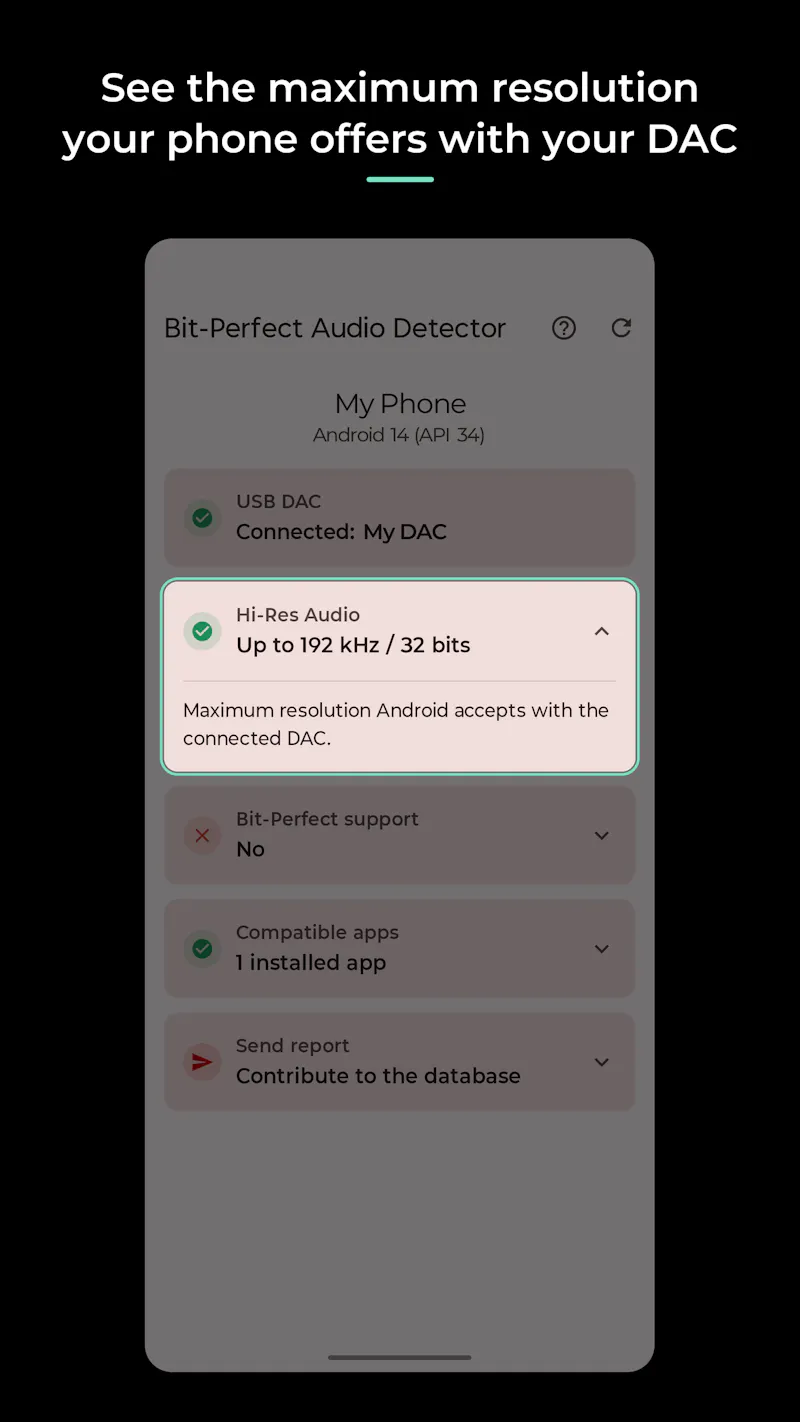 Bit-Perfect Audio Detector screenshot 3
