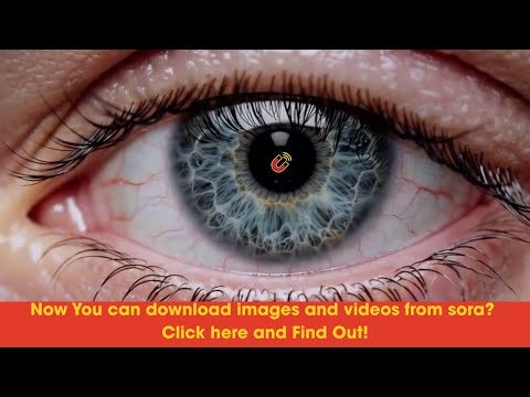 Magneto gallery image