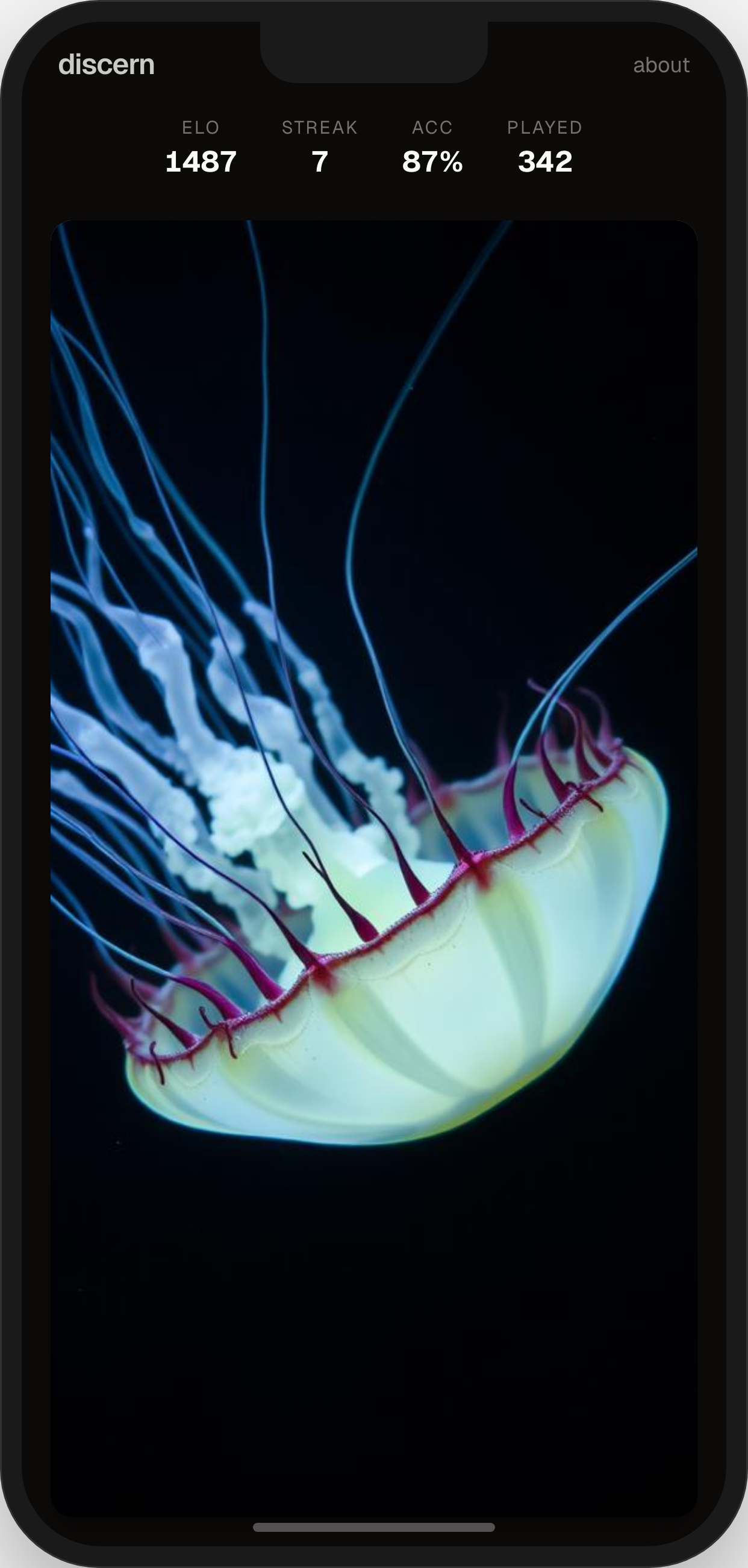 Discern gallery image