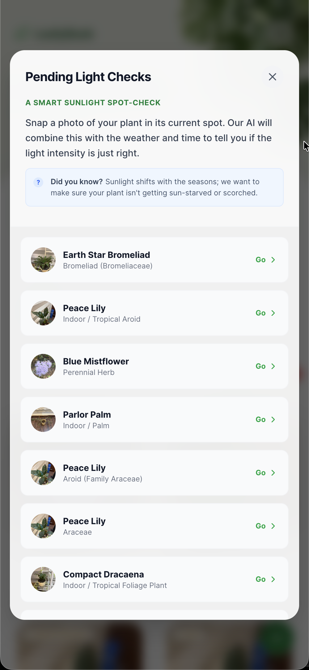 LeafyBook - Screenshot 4 showing product features and functionality