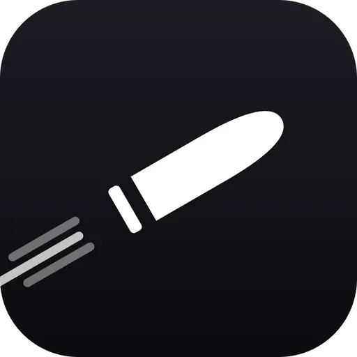 Bullet