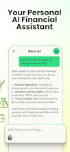 Hero Finance AI gallery image