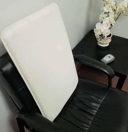 OMI PEMF MAT Product Information, Latest Updates, and Reviews 2024