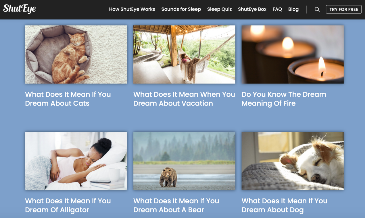 Dreams Vision by ShutEye gallery image