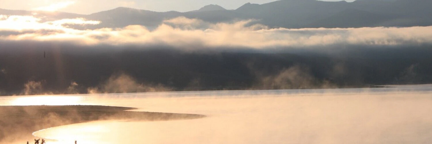 Dominik Veselý cover