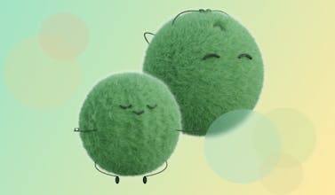 The Marimos gallery image