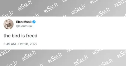 reSee.it gallery image