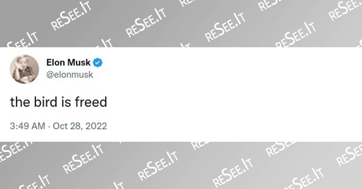 Média reSee.it - Stockez en permanence n'importe quel tweet avec Polygon et IPFS 2