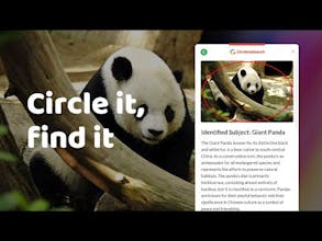 Circle to Search gallery image